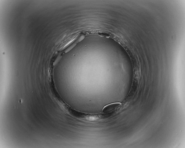 X0000086020662200704091114