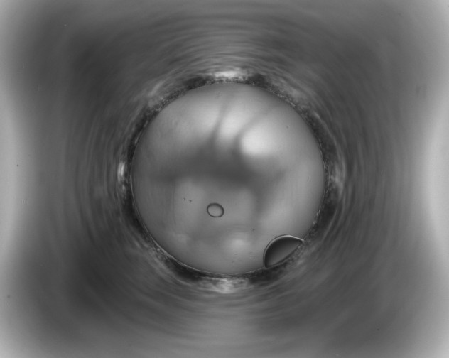 X0000086020663200704091114