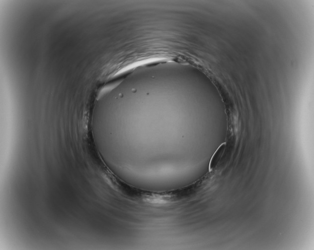 X0000086020664200704091114