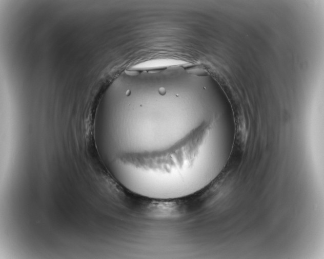 X0000086020665200704091114