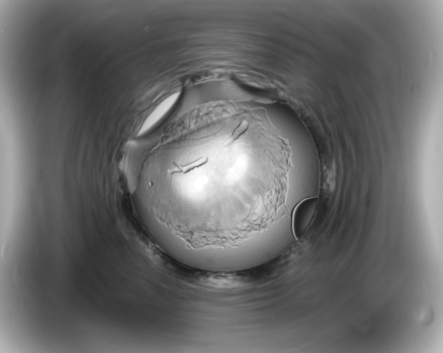 X0000086020666200704091115