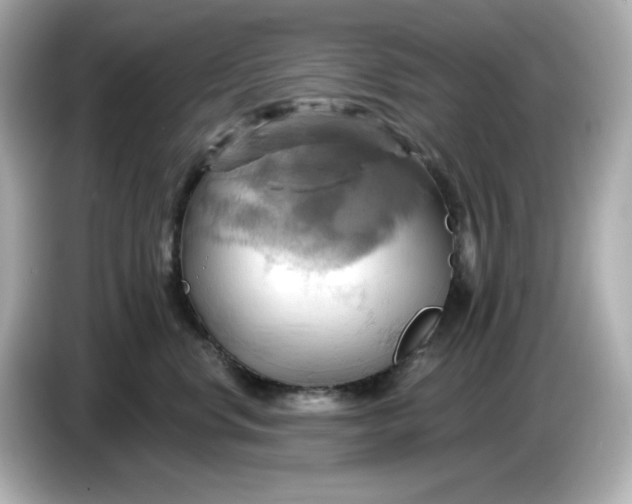 X0000086020668200704091115