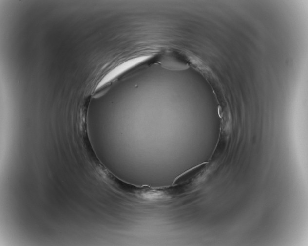 X0000086020669200704091115