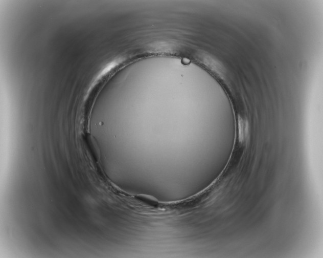 X0000086020675200704091114