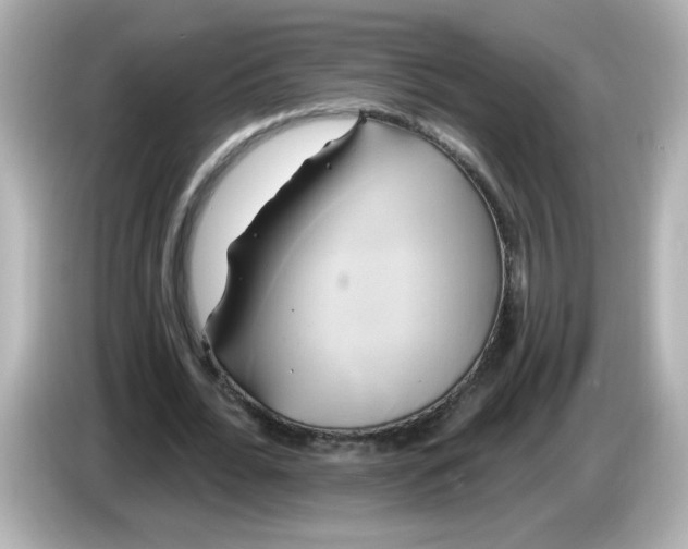 X0000086020676200704091114