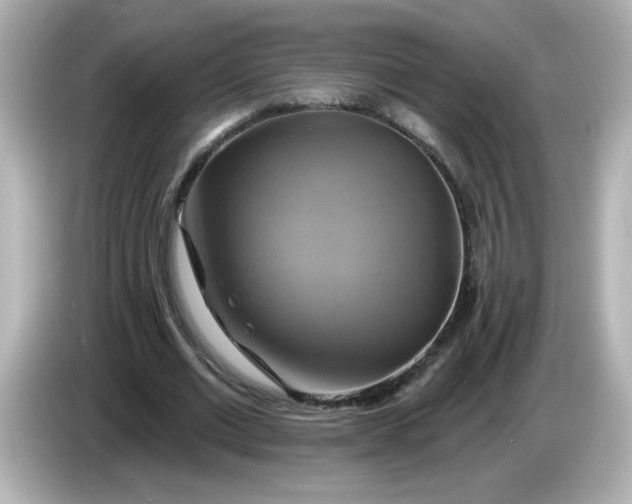 X0000086020677200704091114