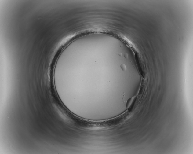 X0000086020678200704091114