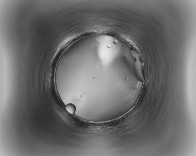 X0000086020679200704091114