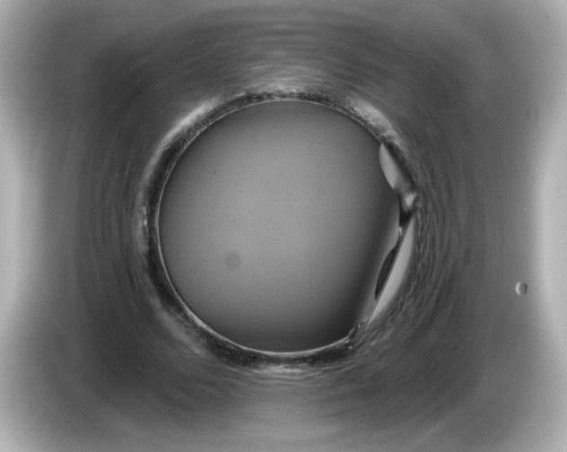 X0000086020680200704091114