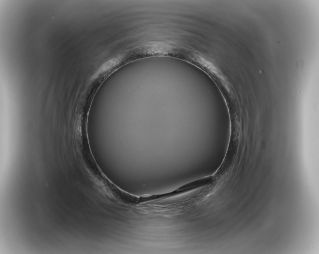 X0000086020681200704091114