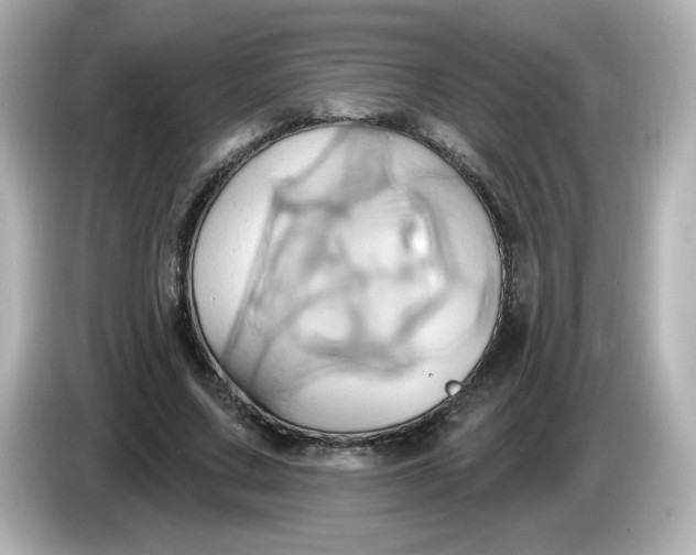 X0000086020683200704091114