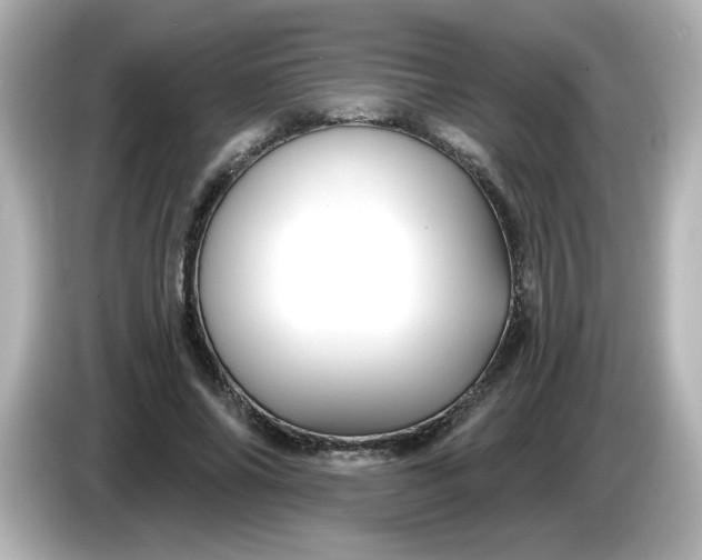 X0000086020686200704091114