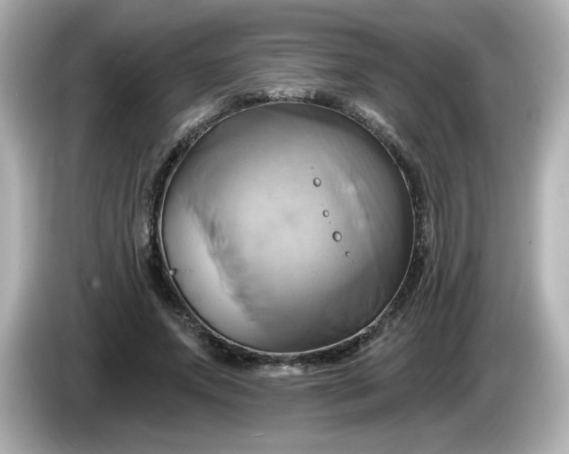 X0000086020687200704091114