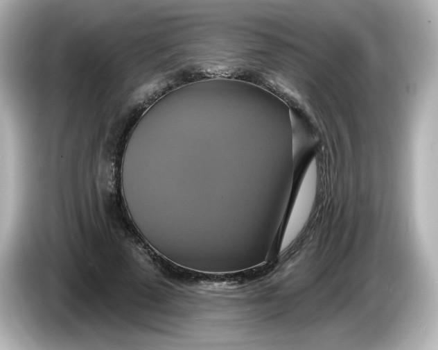 X0000086020689200704091114