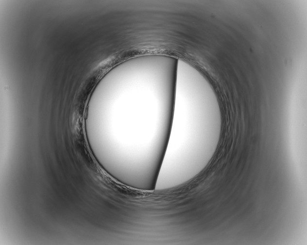 X0000086020692200704091114