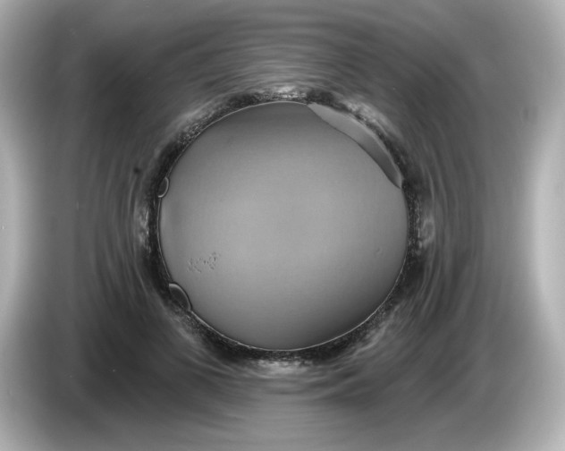 X0000086020693200704091114