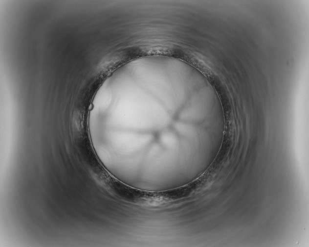 X0000086020695200704091114