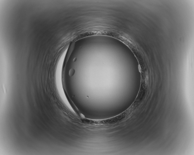 X0000086020696200704091114