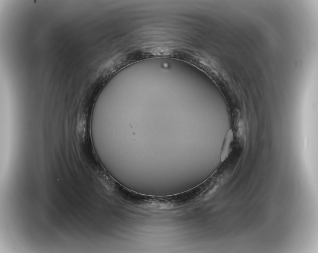 X0000086020697200704091114