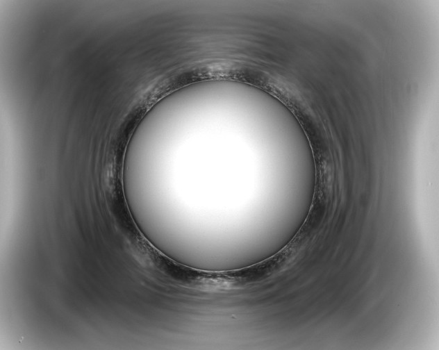 X0000086020698200704091114