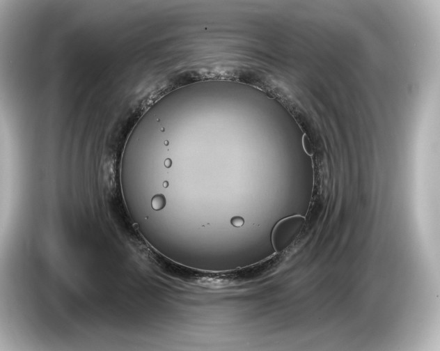 X0000086020699200704091114