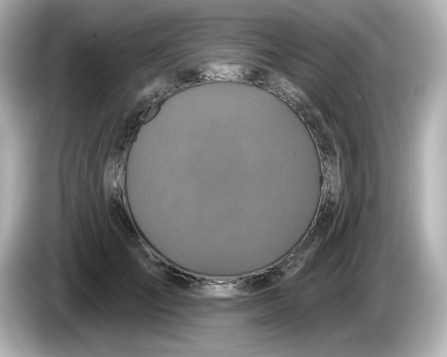 X0000086020701200704091114