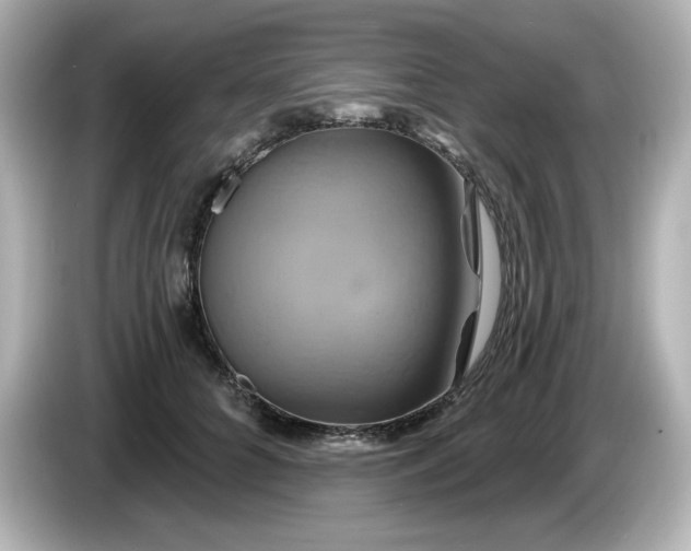 X0000086020704200704091114