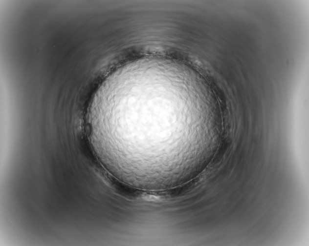 X0000086020706200704091114