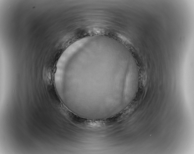 X0000086020709200704091114