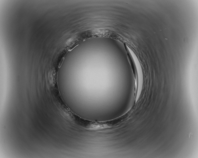 X0000086020712200704091114