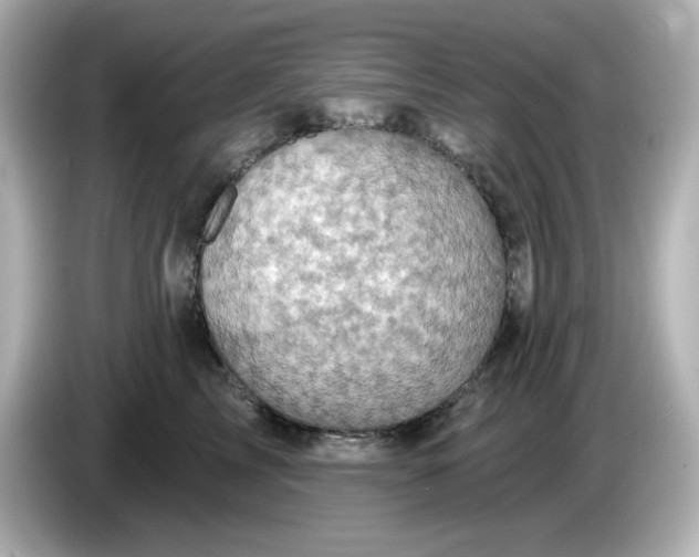 X0000086020713200704091114
