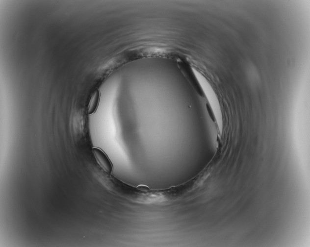 X0000086020715200704091114