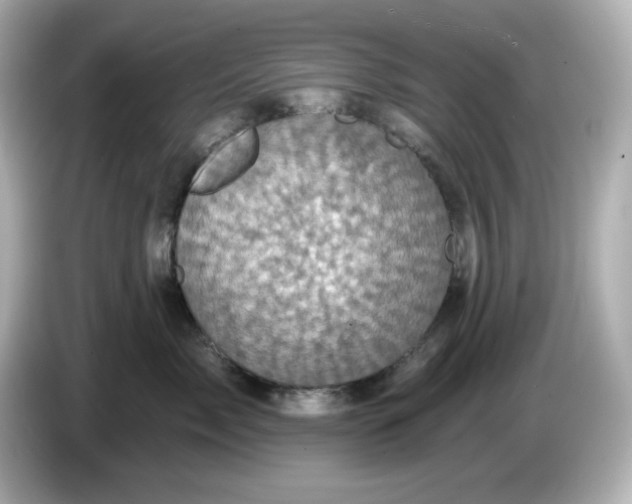 X0000086020717200704091113