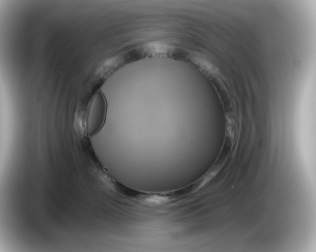 X0000086020718200704091113