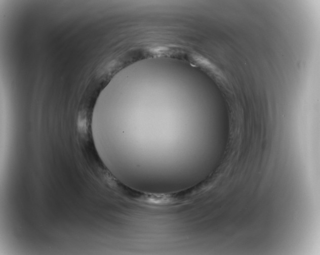 X0000086020720200704091113