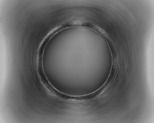 X0000086020722200704091113
