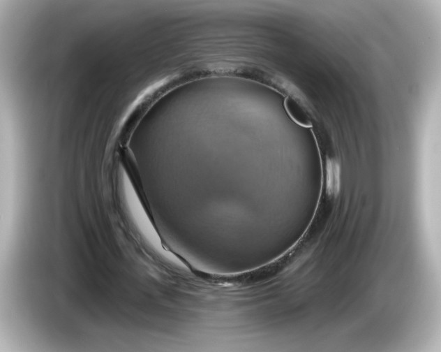 X0000086020723200704091113