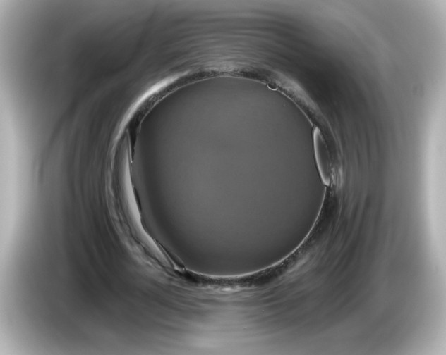 X0000086020724200704091113