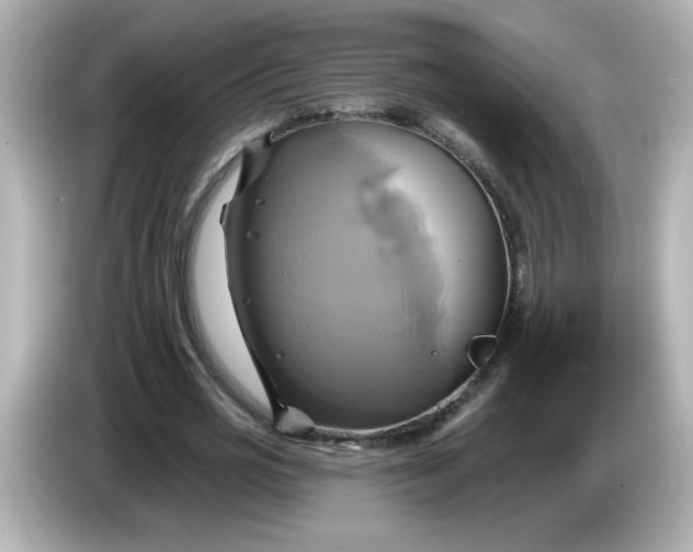 X0000086020725200704091113