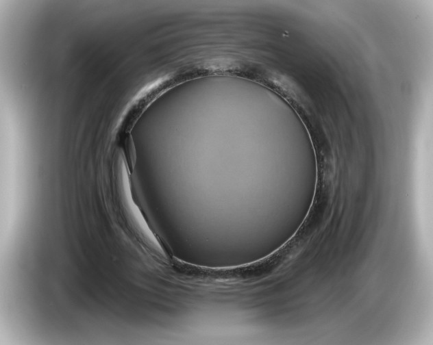 X0000086020727200704091113