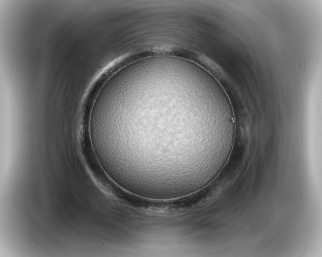X0000086020728200704091113