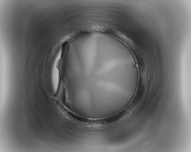 X0000086020729200704091113