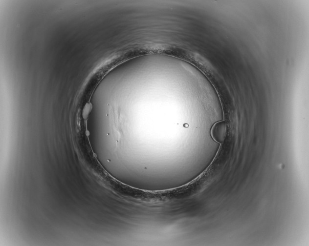 X0000086020731200704091113