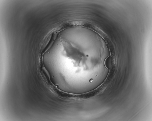 X0000086020733200704091113
