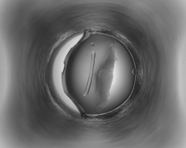 X0000086020734200704091113