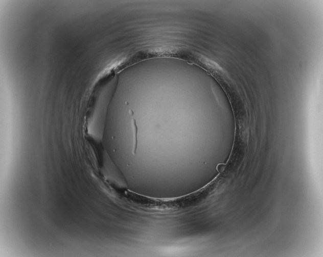 X0000086020735200704091113