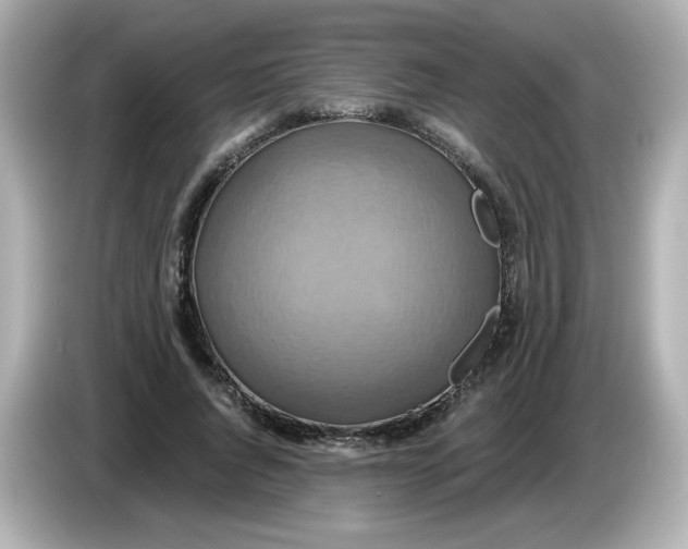 X0000086020736200704091113