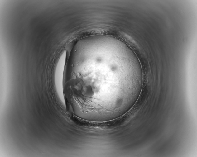 X0000086020737200704091113
