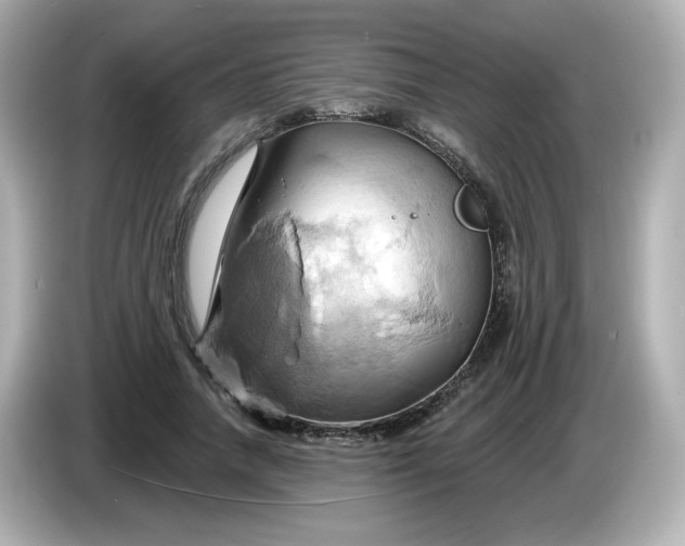 X0000086020738200704091113