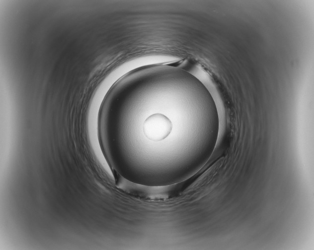 X0000086020740200704091113
